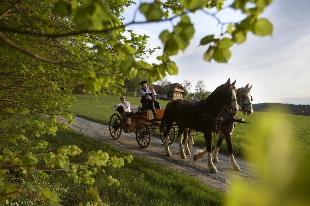 Ferienhaus Troadkasten - Familie Friedrich Hartberg Exteriör bild